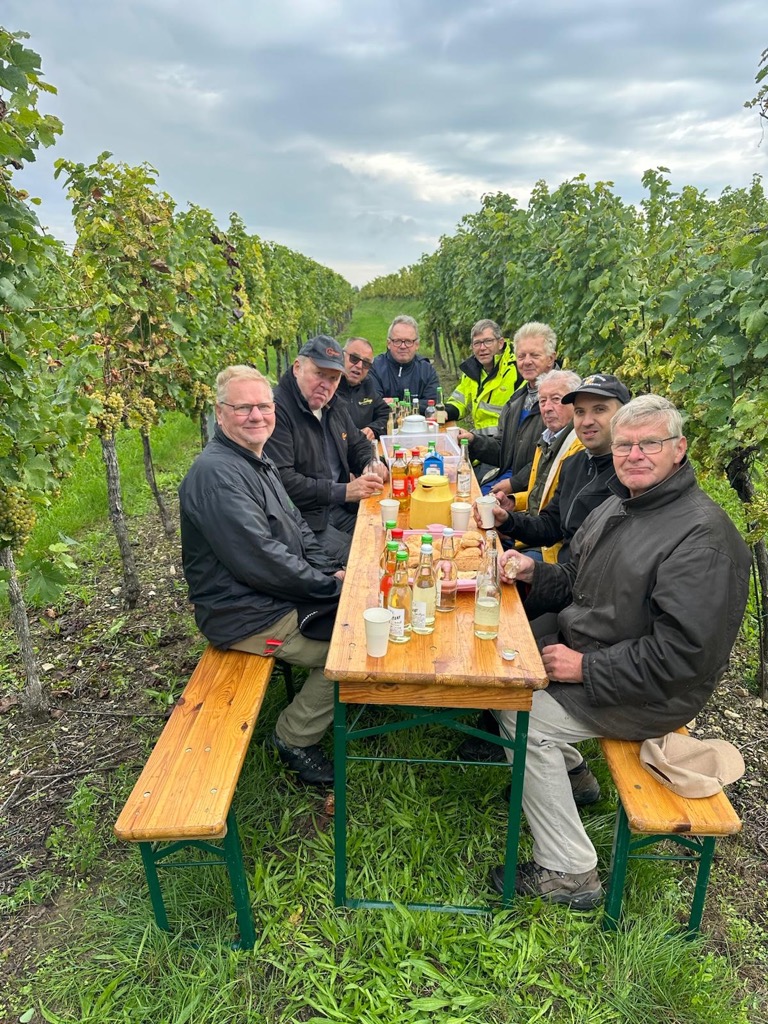 Weinlese